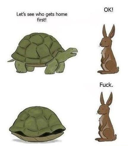 tortoise, hare, comic