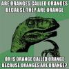 are oranges called oranges because they are orange, or is orange called orange because oranges are orange, philoceraptor, meme