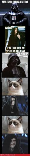 master! I found a kitty, what? I told you no pets on the deat-, behold!, emperor palpatine is happy