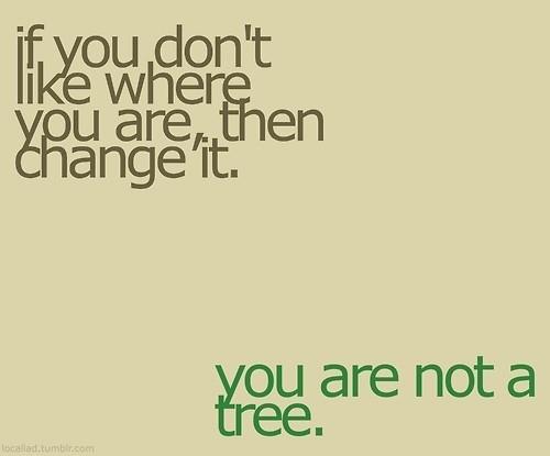 if you don't like where you are then change it, you are not a tree