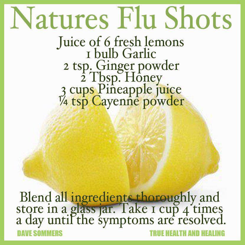 health, advice, fly, nature, natural, homeopathy