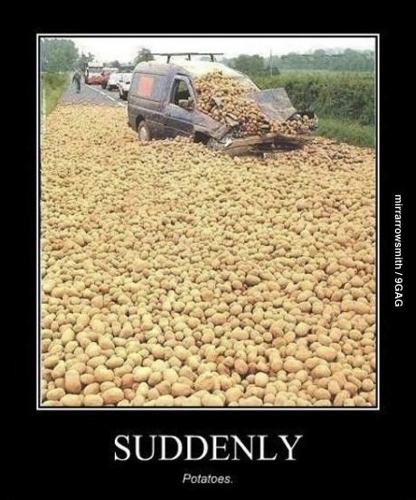 potatoes, suddenly, motivation, lol