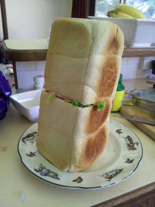 sandwich, bread, wtf, fail