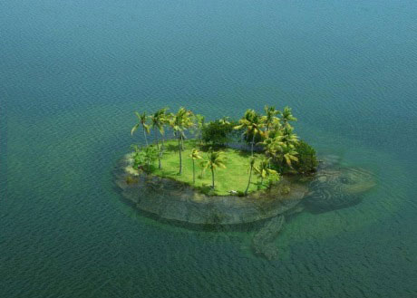 island, turtle