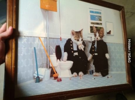 wtf, photo, frame, cat, bathroom, smoking