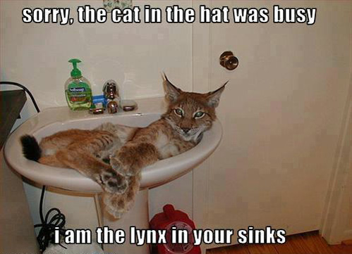 sorry the cat in the gat was busy, I am the lynx in your sinks, meme