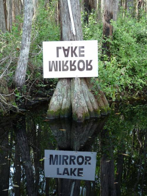 mirror lake, win, sign, nature, reflection