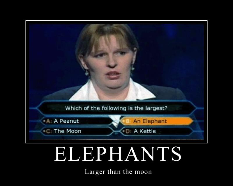 motivation, stupid, fail, who wants to be a millionaire