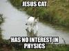 cat, physics, meme, walk on water