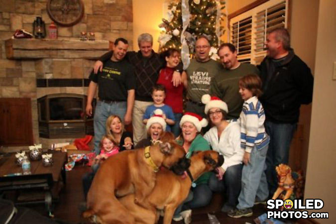 photobomb, dog, christmas, hump, lol, family portrait