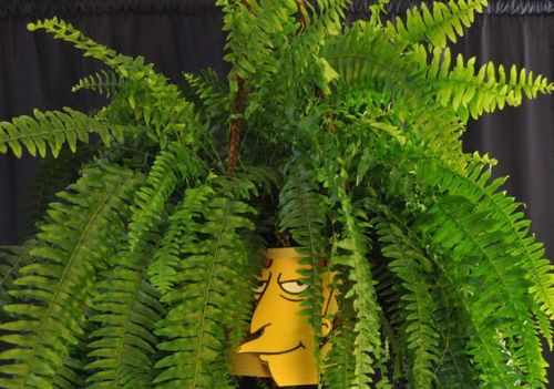 sideshow bob, simpsons, plant