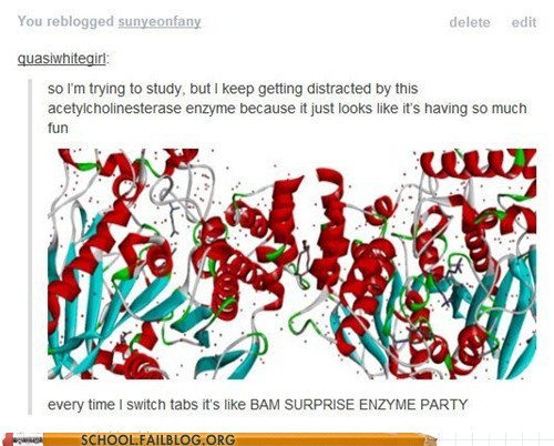 party, enzyme, study