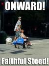 onward faithful steed!, meme, wtf, man riding wive's wheelchair