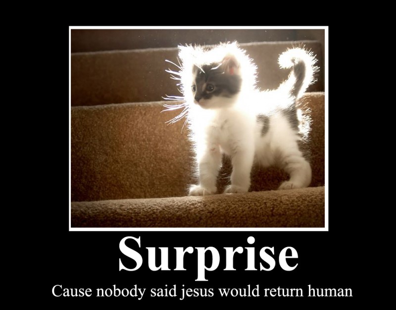 surprise because nobody said jesus would return human, glowing cat aura, motivation