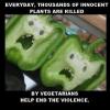 vegetable, green pepper, face, vegetarian, meme, violence, lol
