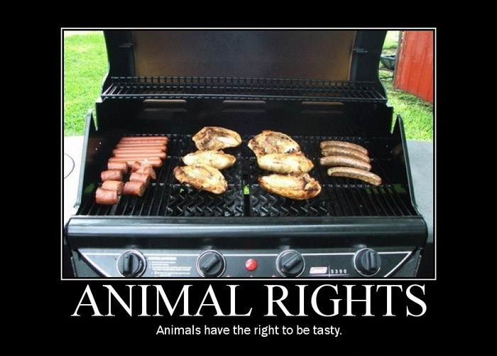 animal rights, animals have the right to be tasty, bbq