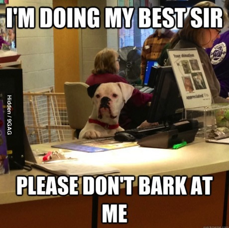 dog, bark, meme