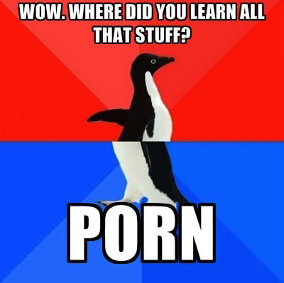 wow where did you learn all that stuff?, porn, socially awkward penguin