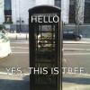 tree, wtf, phone booth, meme