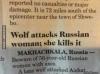 wolf, news, russia, woman