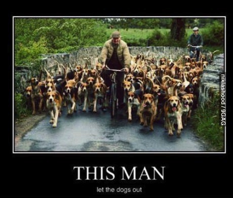 motivation, who let the dogs out, bike