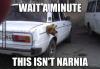 wait a minute this isn't narnia, meme, dog head stuck outside car trunk