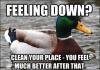feeling down?, clean your place and you will feel much better after that, actual advice mallard, meme