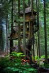 tree house, awesome, win, forest