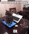don't sit on the keyboard?, ok, cat sitting on laptop screen, meme