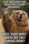yeah quick question about this second amendment, these bear arms where are they coming from?