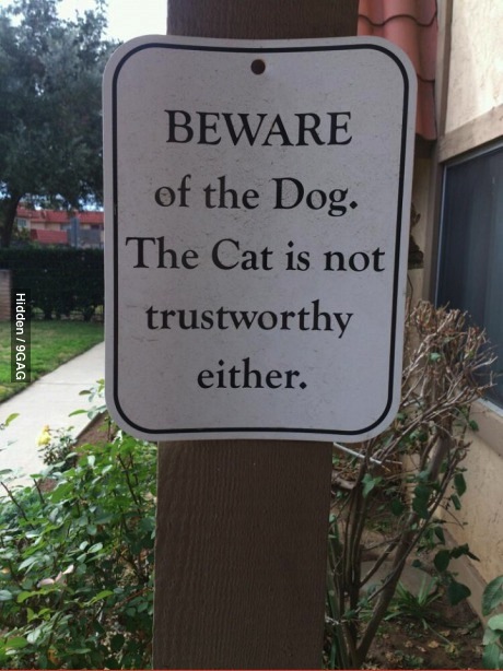 sign, cat, dog, beware, lol