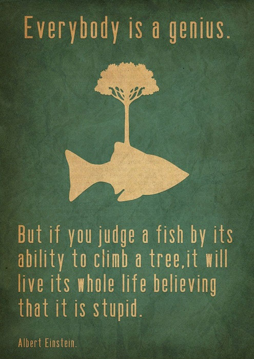 genius, albert einstein, quote, fish, tree, judge