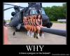 motivation, sexy, helicopter, penguin, wtf, lol, girls