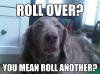 dog, stoner, weed, pot, marijuana, roll, meme