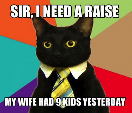 sir I need a raise, my wife had 9 kids yesterday, cat, promotion, meme