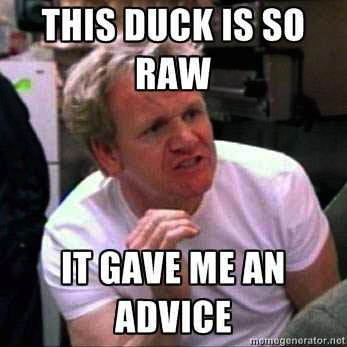 iron chef, meme, duck, advice, mallard