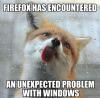 firefox has encountered an unexpected problem with windows, meme