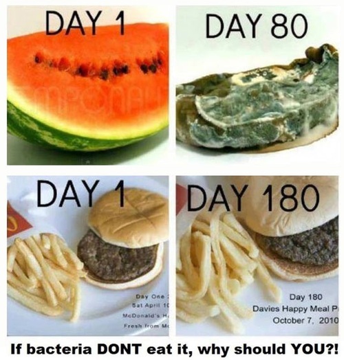 mcdonalds, food, bad, bacteria, old