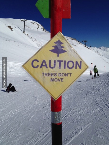 caution, tree, ski hill sign
