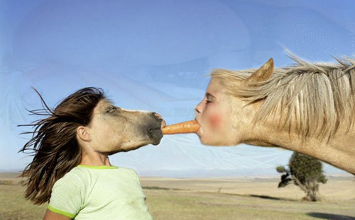 face swap, horse, girl, carrot, wtf