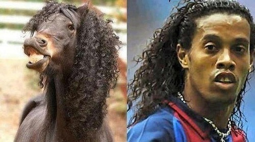 totallylookslike, horse, curly hair