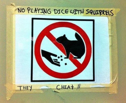 sign, hacked irl, squirrels, dice, cheat