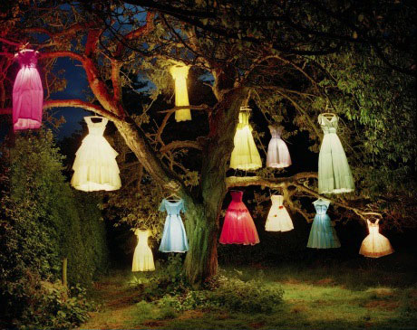 dress lanterns, reuse, tree, lights