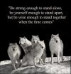 together, alone, strong, wolf pack