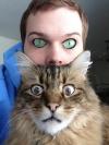 human cat eye swap, face, photoshop