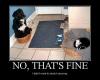 no that's fine I didn't want to stretch anyway, cat sleeping in dog bed and dog sitting in cat bed, lol, motivation