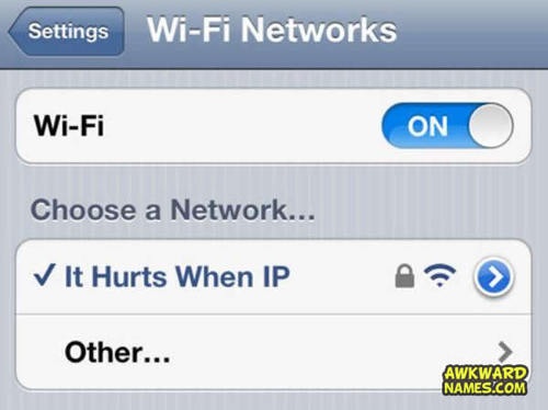 wifi network, it hurts when ip, lol
