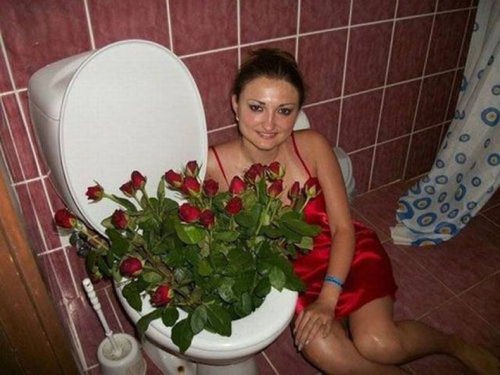 roses, valentine's day, toilet, wtf, bathroom