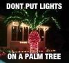 lights, palm tree, fail, dick, penis, christmas