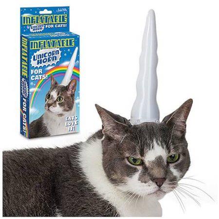 cat, product, unicorn, wtf
